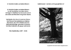Im-Wald-der-Boden-von-klaten-Blättern-Dauthendey.pdf